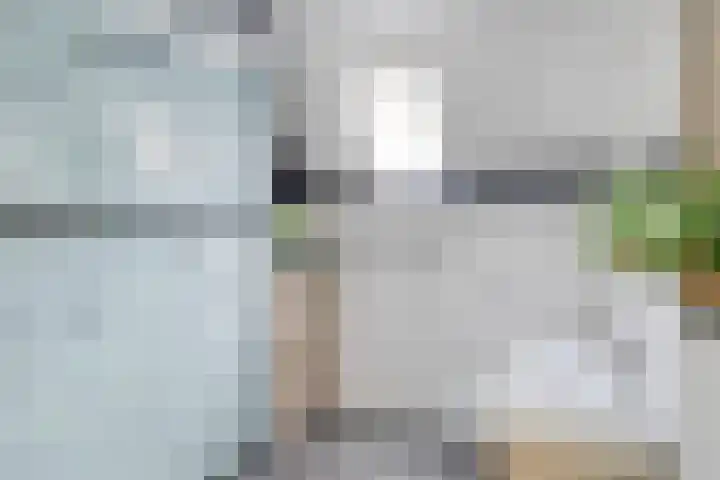Waterlelie 13 Marknesse thumbnail 24