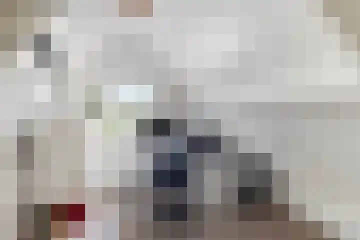 Waterlelie 13 Marknesse thumbnail 30