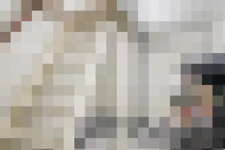 Waterlelie 13 Marknesse thumbnail 34