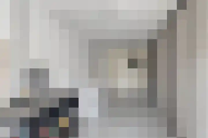 Waterlelie 13 Marknesse thumbnail 37