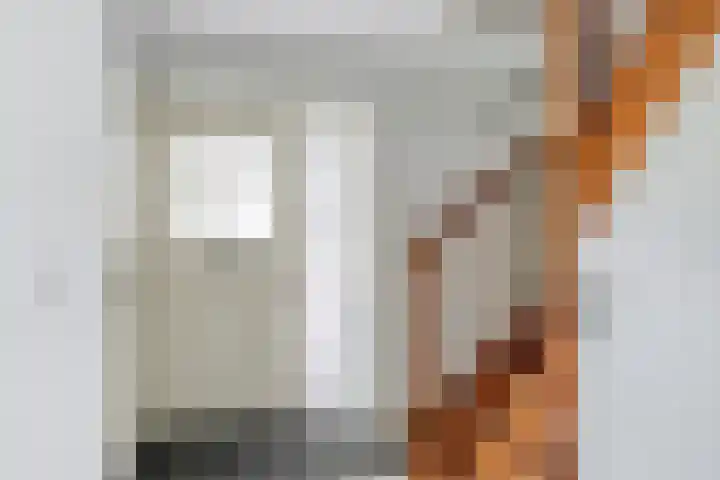Waterlelie 13 Marknesse thumbnail 4