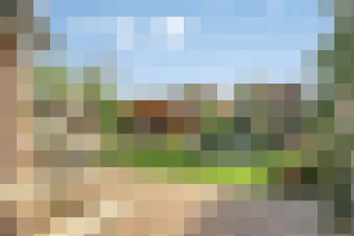 Waterlelie 13 Marknesse thumbnail 40