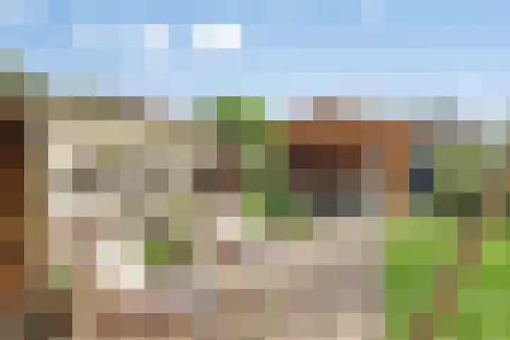 Waterlelie 13 Marknesse thumbnail 41