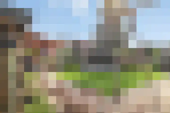 Waterlelie 13 Marknesse thumbnail 42
