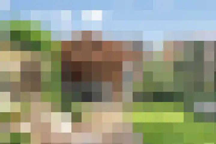 Waterlelie 13 Marknesse thumbnail 43