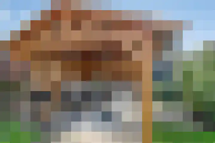 Waterlelie 13 Marknesse thumbnail 44
