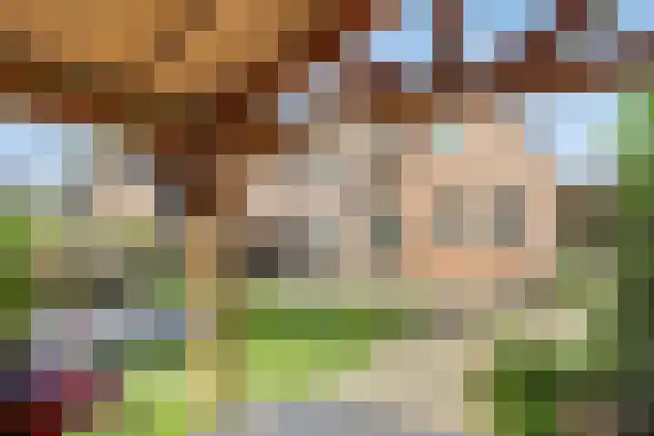 Waterlelie 13 Marknesse thumbnail 45