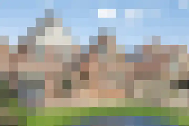 Waterlelie 13 Marknesse thumbnail 46