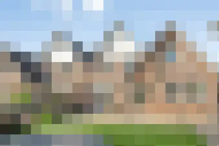 Waterlelie 13 Marknesse thumbnail 47