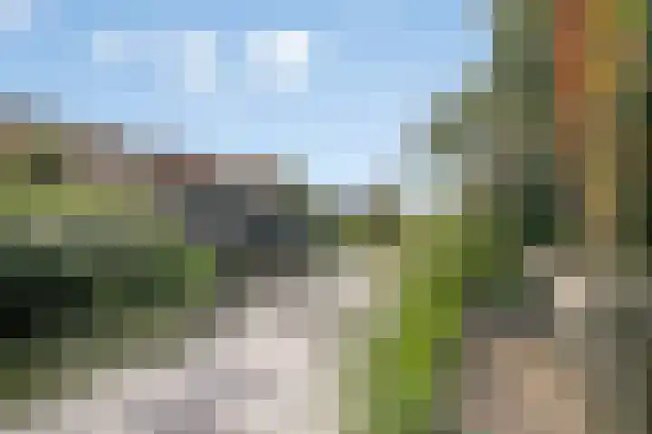Waterlelie 13 Marknesse thumbnail 48