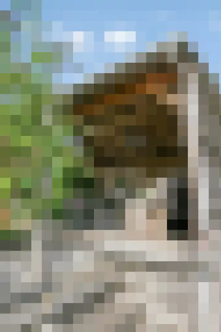 Waterlelie 13 Marknesse thumbnail 49