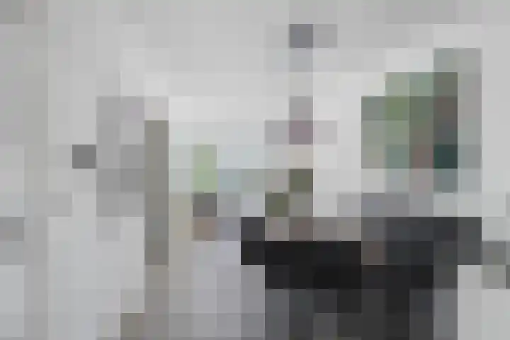 Waterlelie 13 Marknesse thumbnail 5