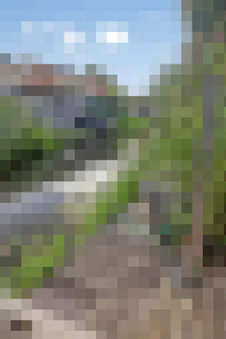 Waterlelie 13 Marknesse thumbnail 50