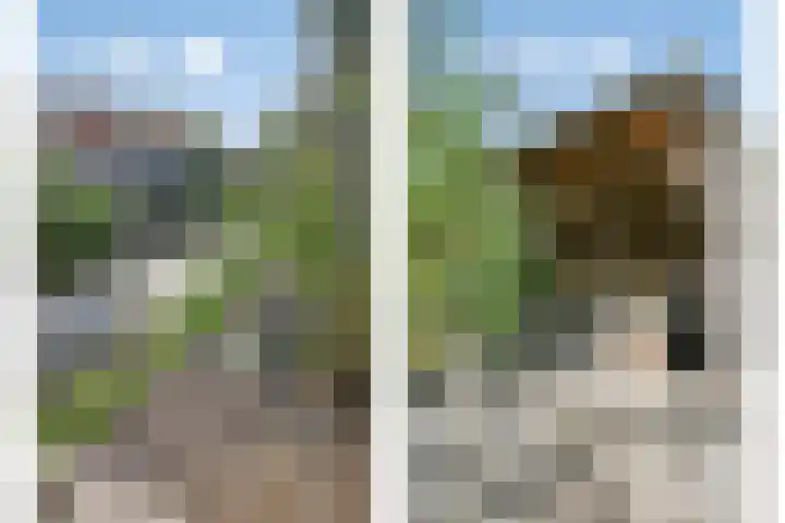 Waterlelie 13 Marknesse thumbnail 51