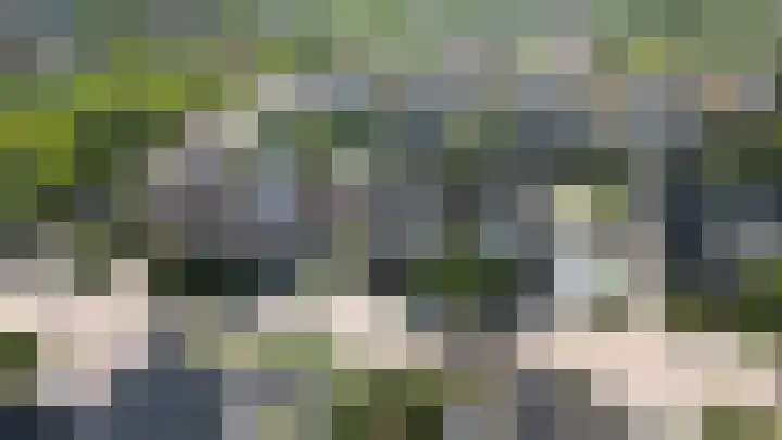 Waterlelie 13 Marknesse thumbnail 52
