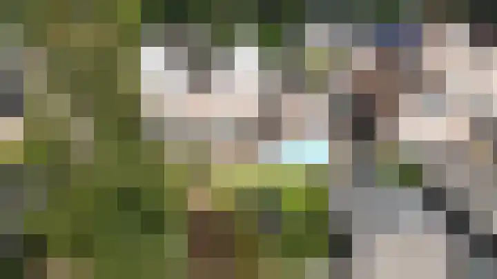 Waterlelie 13 Marknesse thumbnail 54