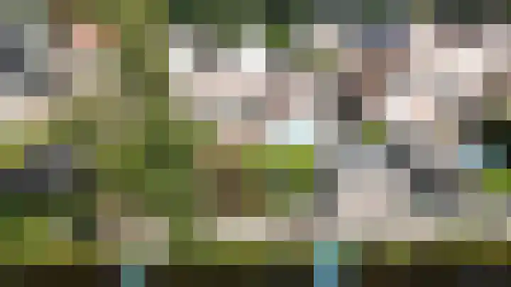 Waterlelie 13 Marknesse thumbnail 55