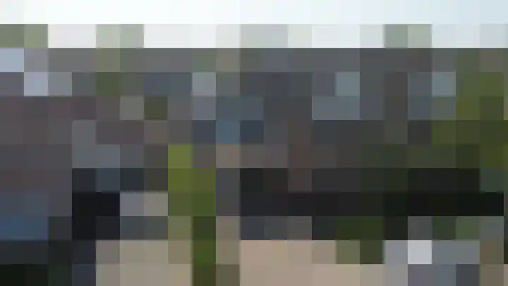 Waterlelie 13 Marknesse thumbnail 56