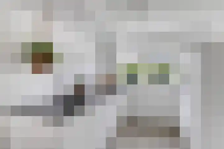Waterlelie 13 Marknesse thumbnail 6