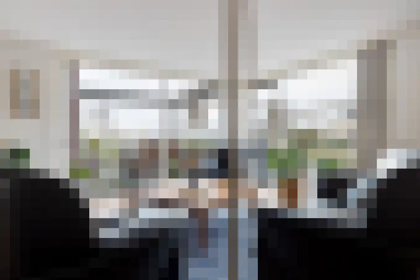 Waterlelie 14 Heerjansdam thumbnail 17