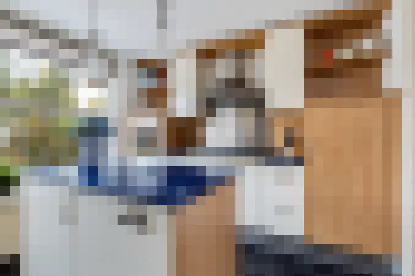 Waterlelie 14 Heerjansdam thumbnail 22
