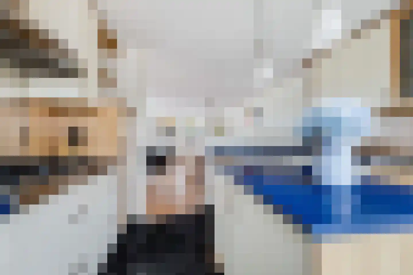 Waterlelie 14 Heerjansdam thumbnail 23