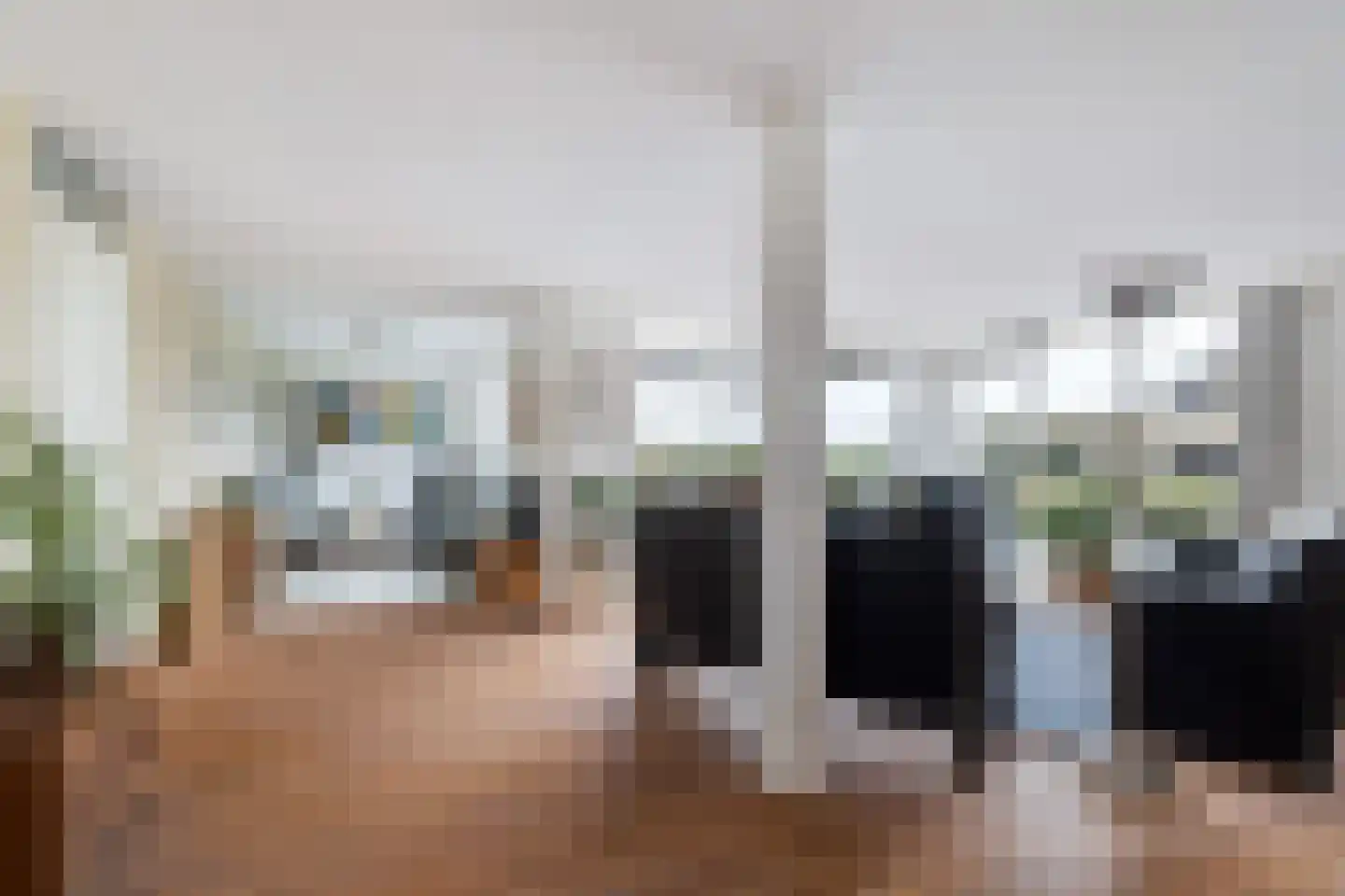 Waterlelie 14 Heerjansdam thumbnail 4
