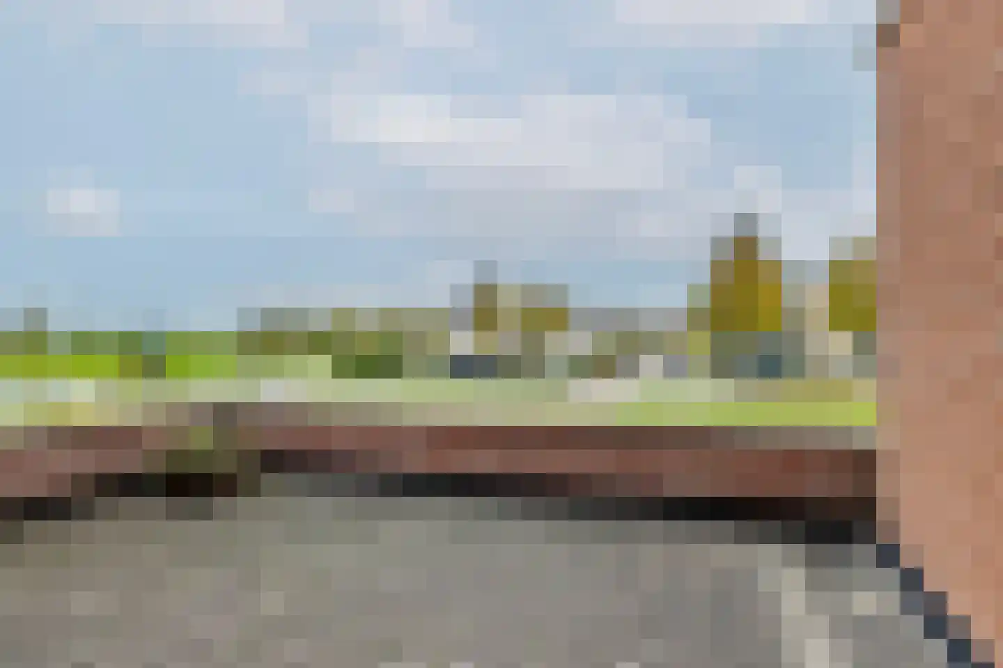 Waterlelie 14 Heerjansdam thumbnail 42