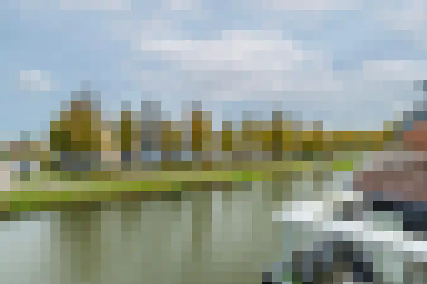 Waterlelie 14 Heerjansdam thumbnail 46