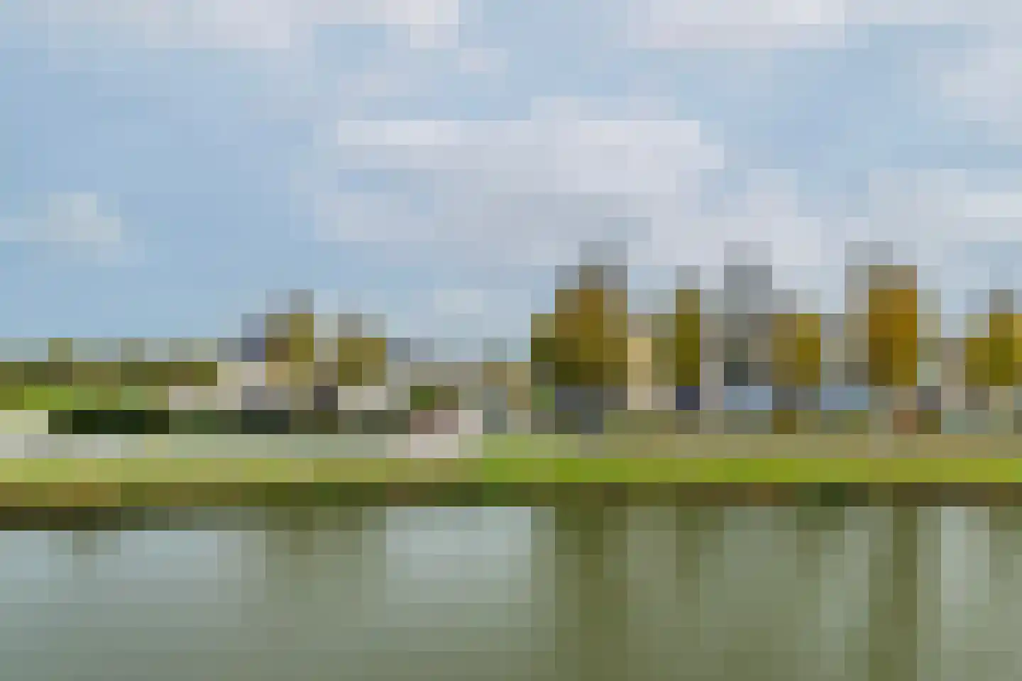 Waterlelie 14 Heerjansdam thumbnail 47