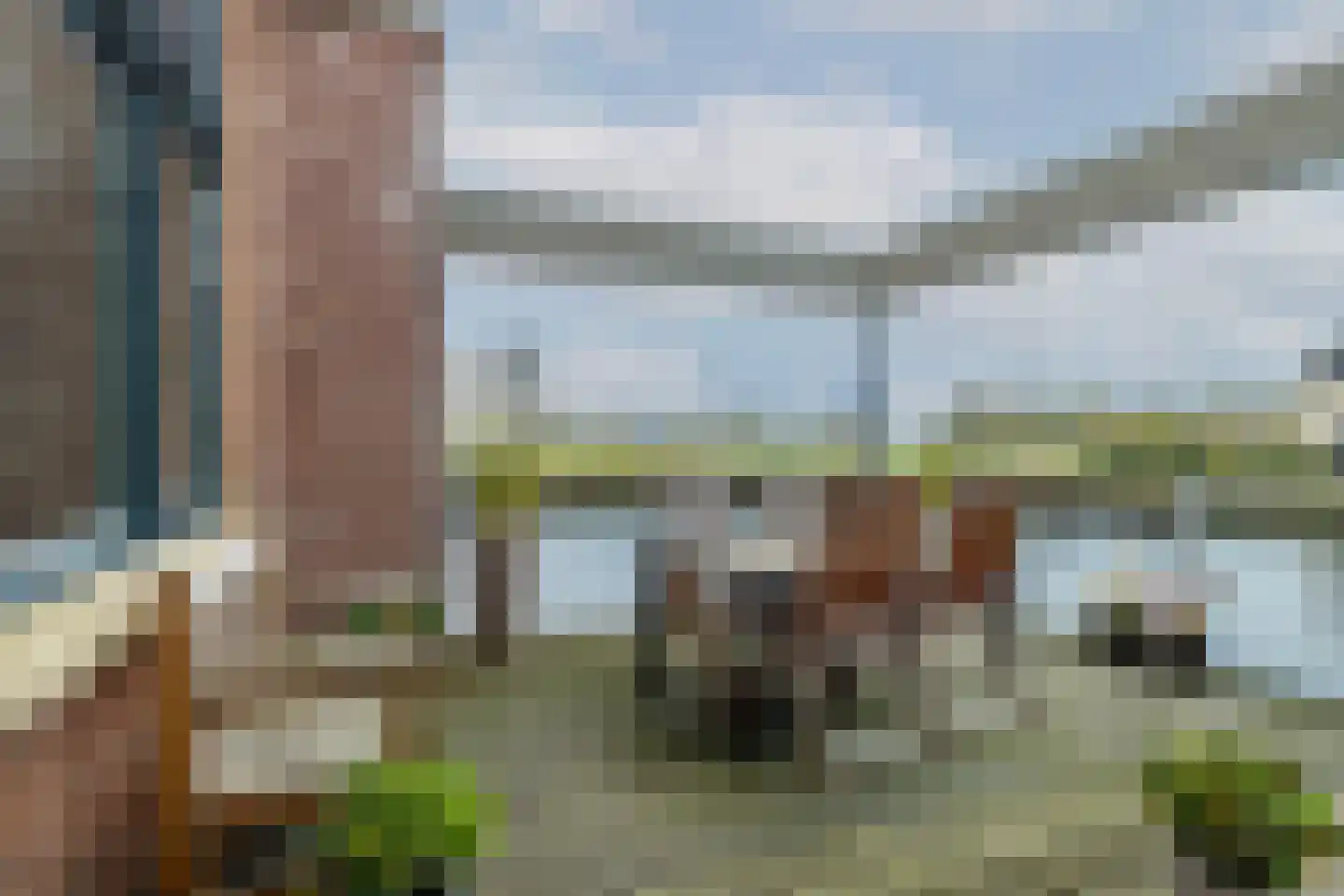 Waterlelie 14 Heerjansdam thumbnail 50