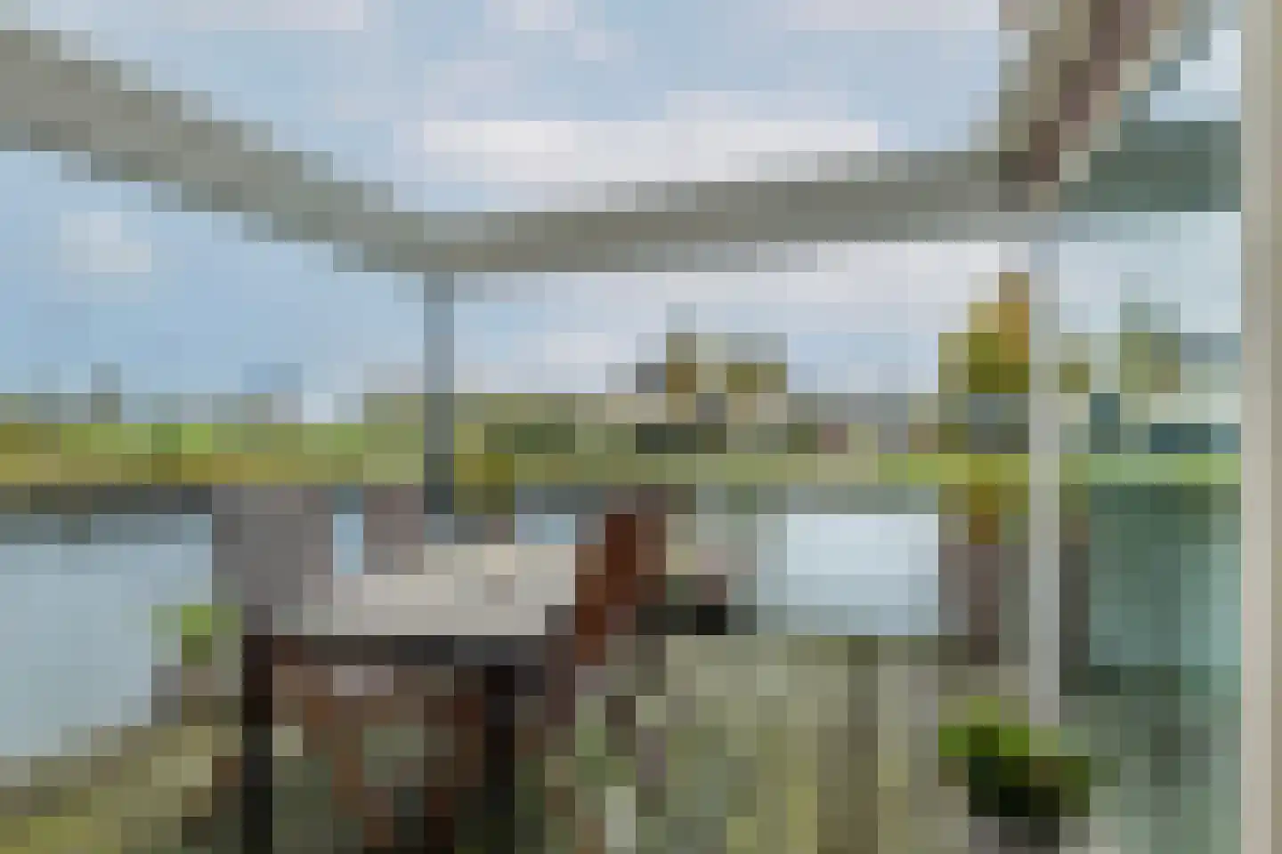 Waterlelie 14 Heerjansdam thumbnail 51