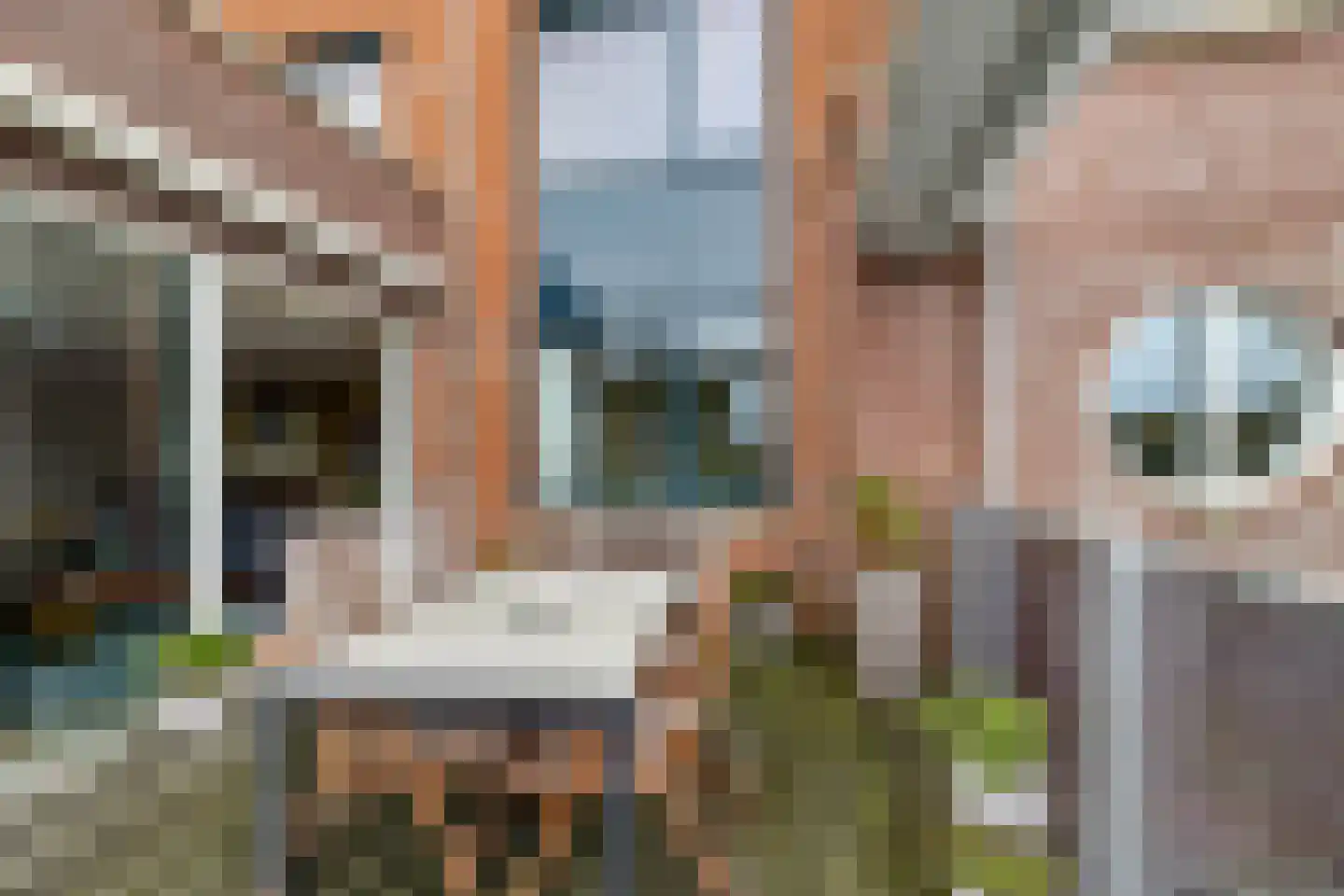 Waterlelie 14 Heerjansdam thumbnail 52