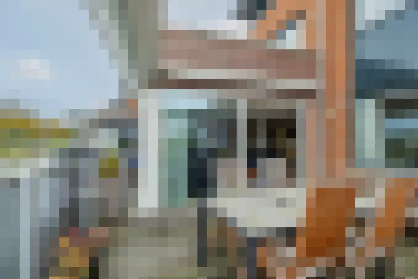 Waterlelie 14 Heerjansdam thumbnail 53