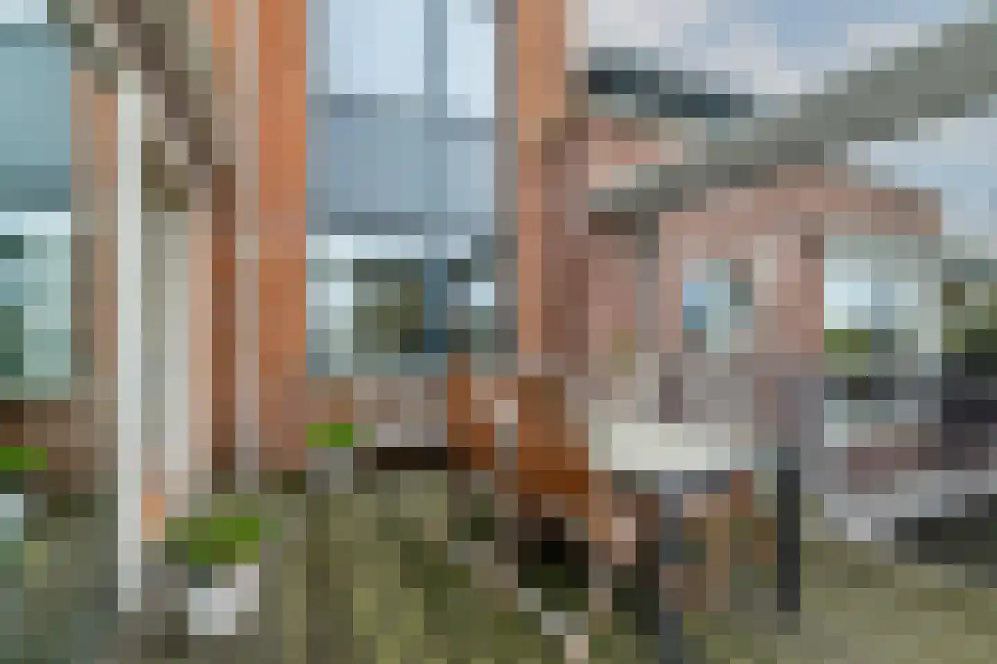 Waterlelie 14 Heerjansdam thumbnail 54