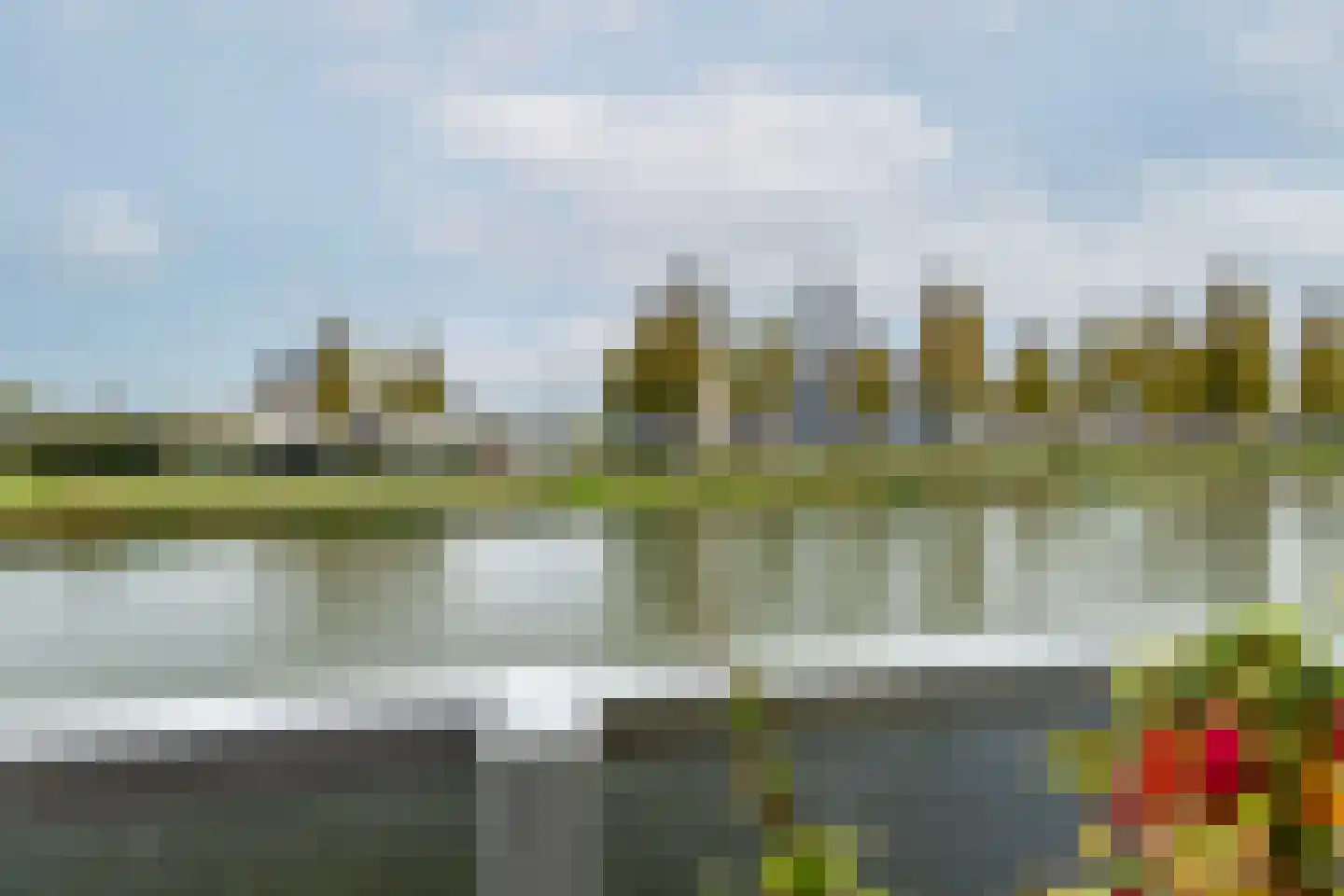 Waterlelie 14 Heerjansdam thumbnail 55