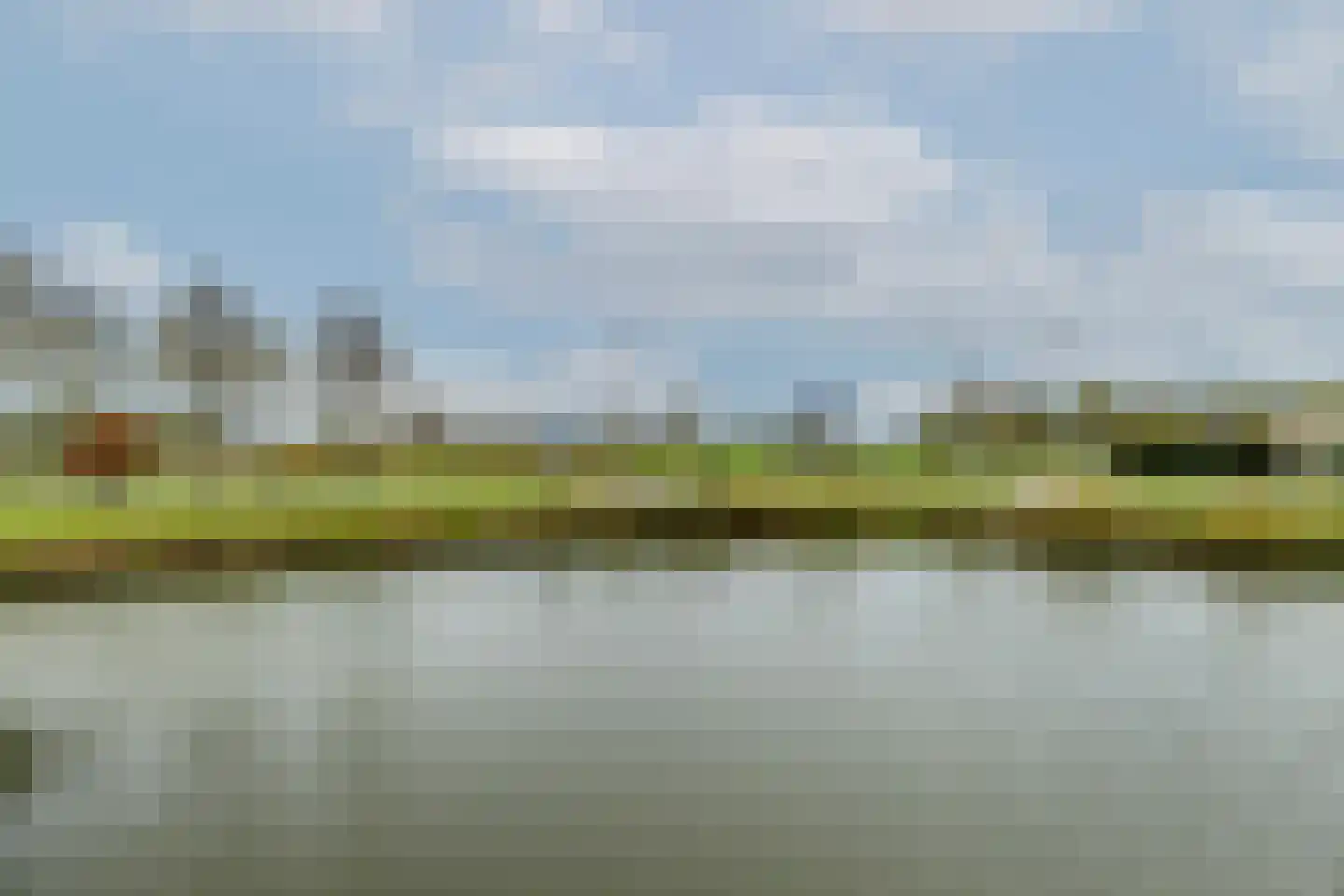 Waterlelie 14 Heerjansdam thumbnail 56