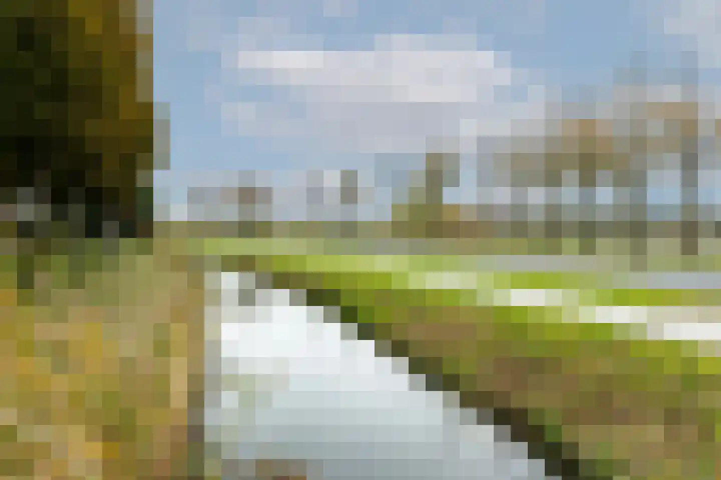 Waterlelie 14 Heerjansdam thumbnail 57