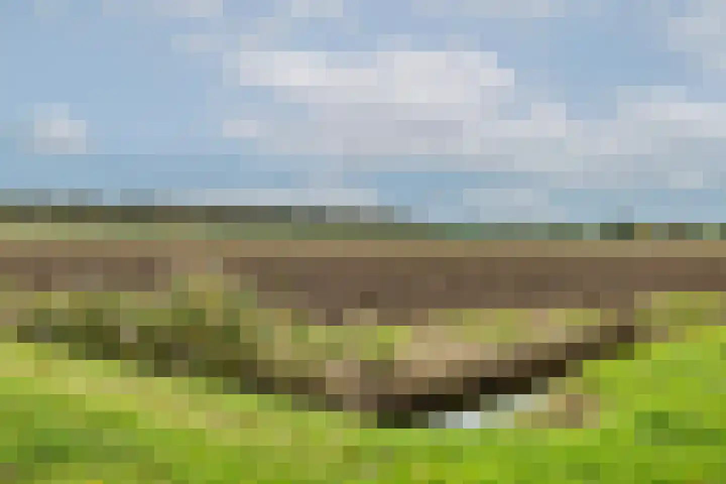 Waterlelie 14 Heerjansdam thumbnail 58