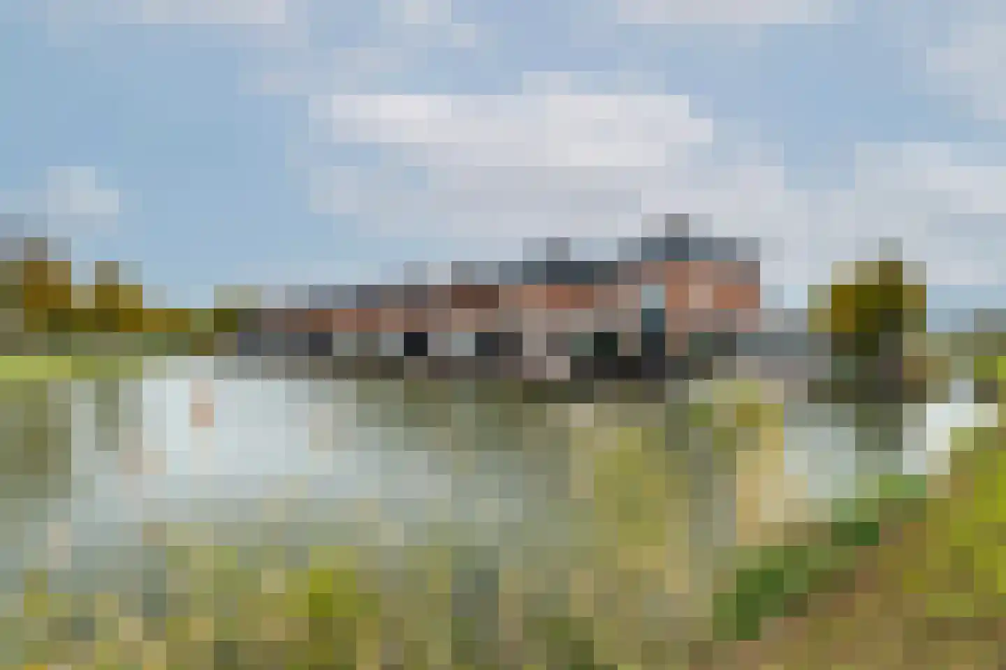 Waterlelie 14 Heerjansdam thumbnail 7