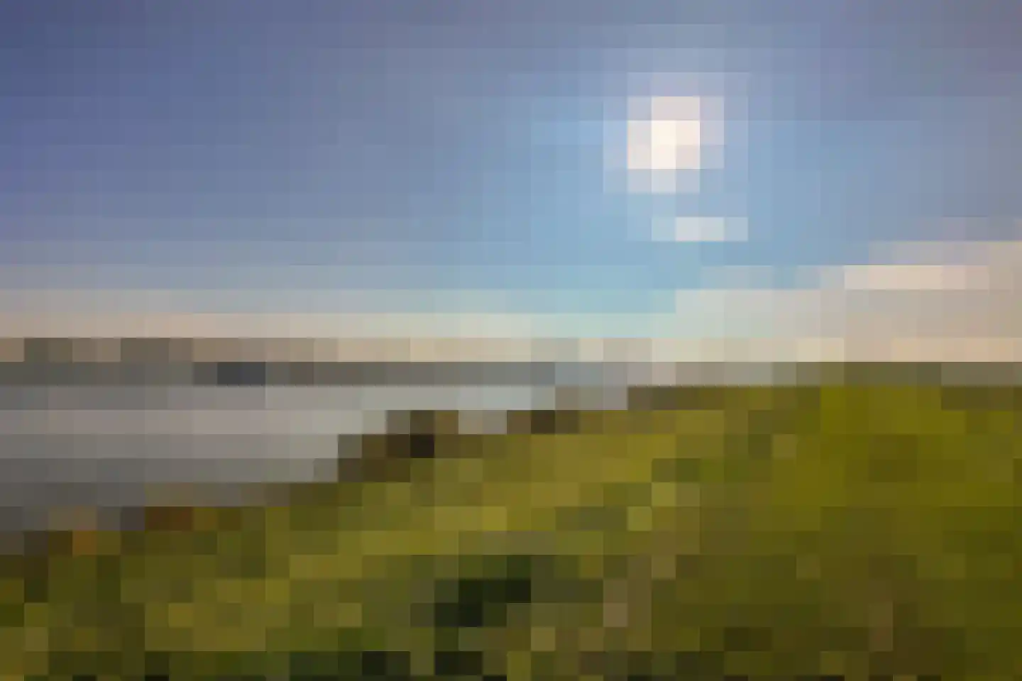 Waterlelie 14 's-Gravendeel thumbnail 35