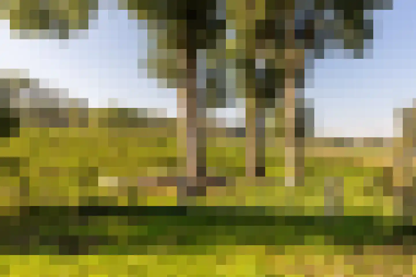 Waterlelie 14 's-Gravendeel thumbnail 36