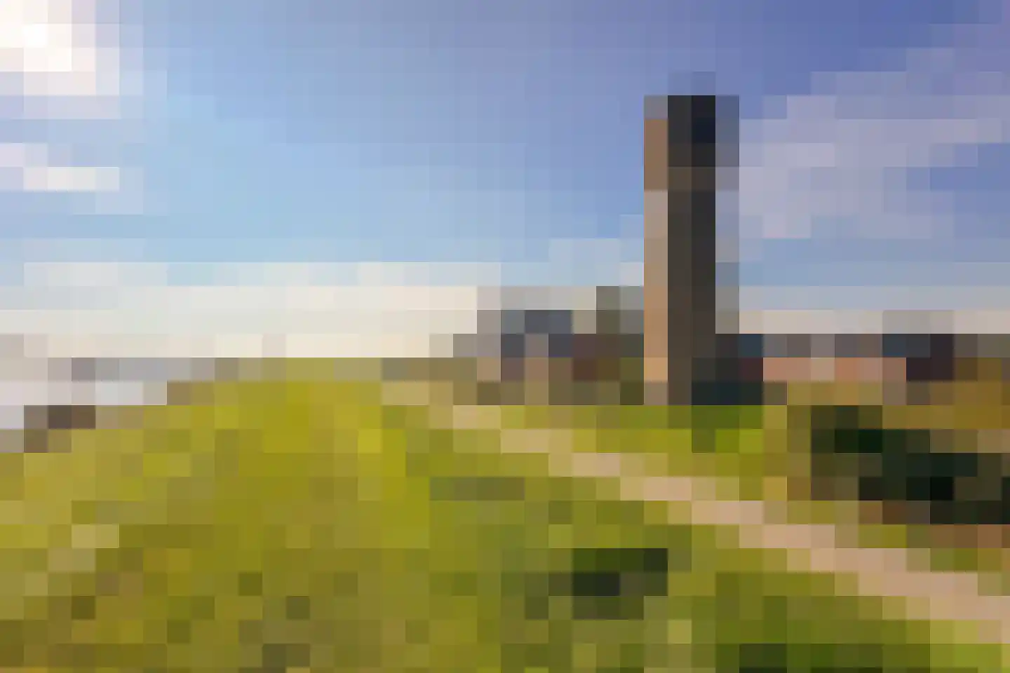 Waterlelie 14 's-Gravendeel thumbnail 6