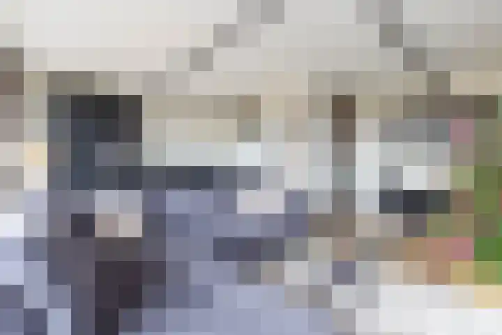 Waterlelie 146 Roelofarendsveen thumbnail 15
