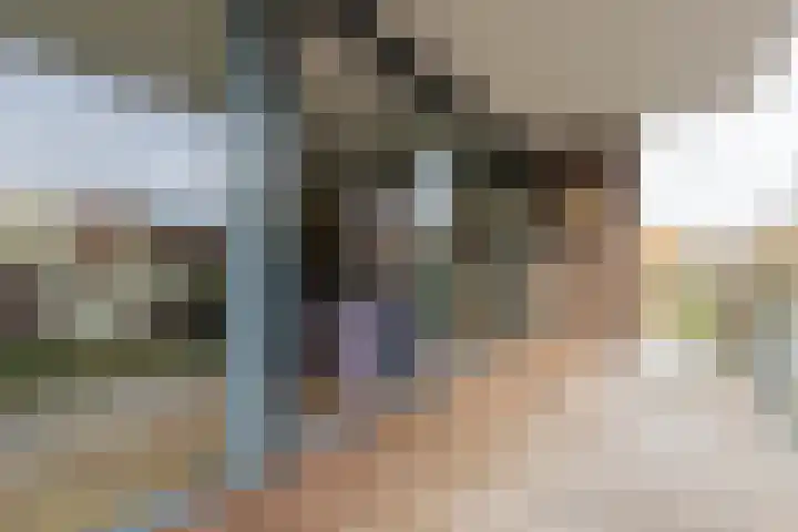 Waterlelie 146 Roelofarendsveen thumbnail 17