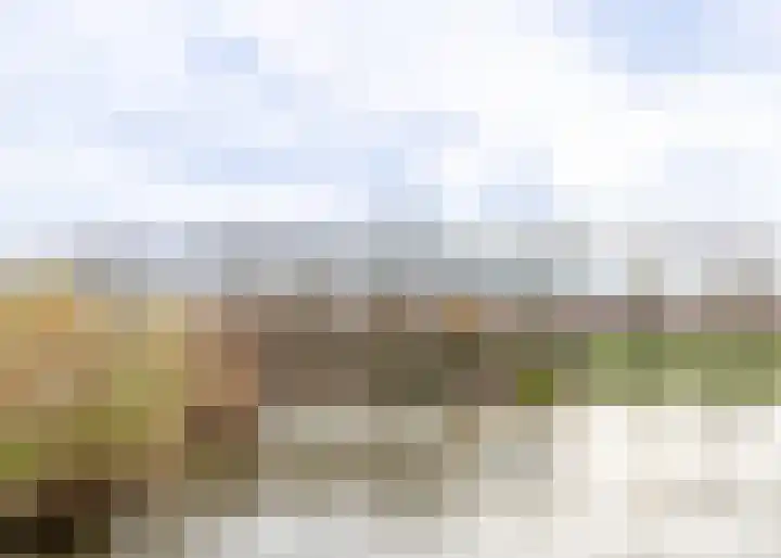 Waterlelie 146 Roelofarendsveen thumbnail 18