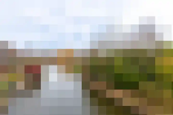 Waterlelie 146 Roelofarendsveen thumbnail 19