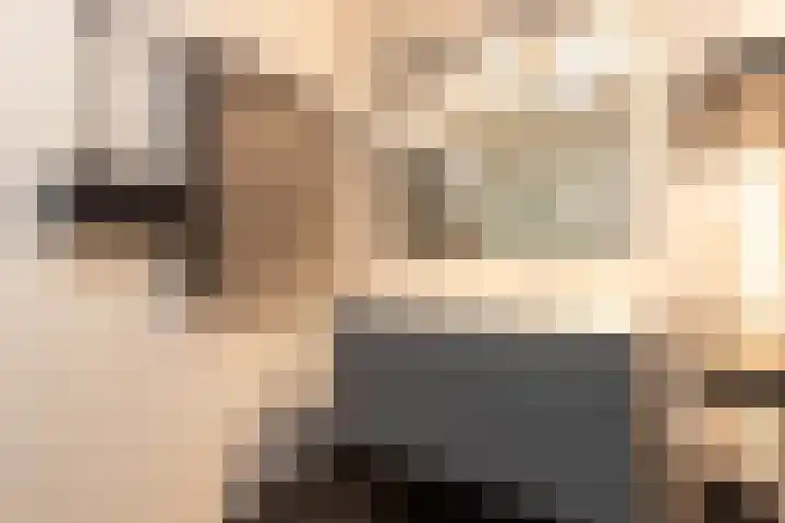 Waterlelie 146 Roelofarendsveen thumbnail 23