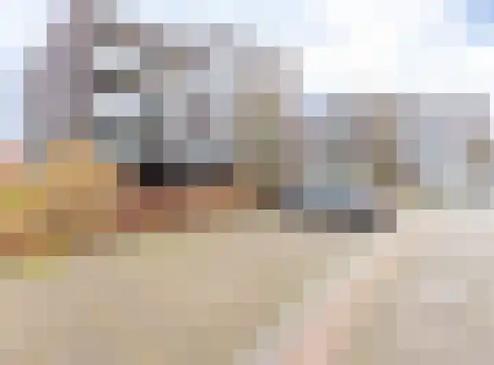 Waterlelie 146 Roelofarendsveen thumbnail 27