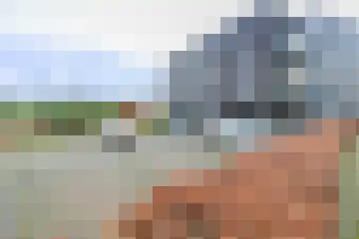Waterlelie 146 Roelofarendsveen thumbnail 28